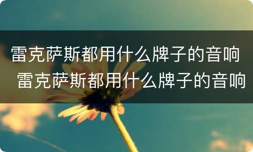 雷克萨斯都用什么牌子的音响 雷克萨斯都用什么牌子的音响喇叭