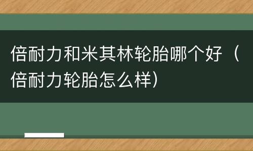 倍耐力和米其林轮胎哪个好（倍耐力轮胎怎么样）