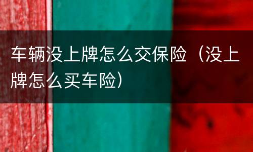 车辆没上牌怎么交保险（没上牌怎么买车险）