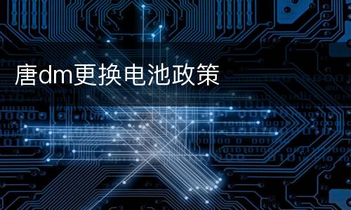唐dm更换电池政策