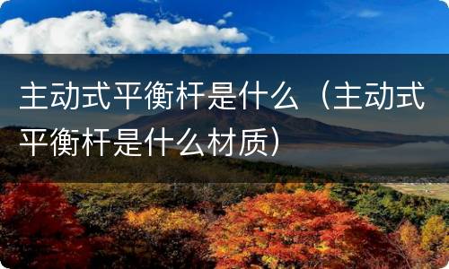 主动式平衡杆是什么（主动式平衡杆是什么材质）