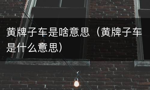 黄牌子车是啥意思（黄牌子车是什么意思）