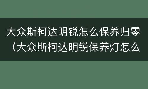 大众斯柯达明锐怎么保养归零（大众斯柯达明锐保养灯怎么归零）