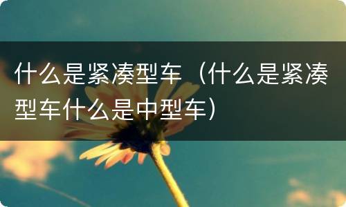 什么是紧凑型车（什么是紧凑型车什么是中型车）