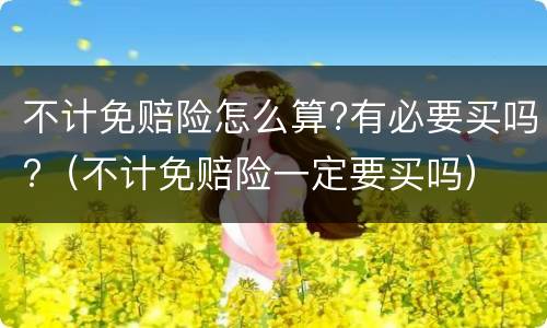 不计免赔险怎么算?有必要买吗?（不计免赔险一定要买吗）