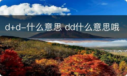 d+d-什么意思 dd什么意思哦