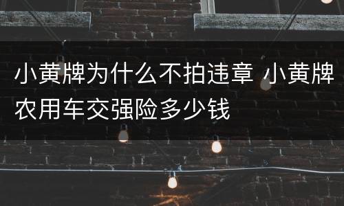 小黄牌为什么不拍违章 小黄牌农用车交强险多少钱