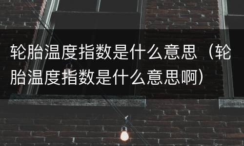 轮胎温度指数是什么意思（轮胎温度指数是什么意思啊）