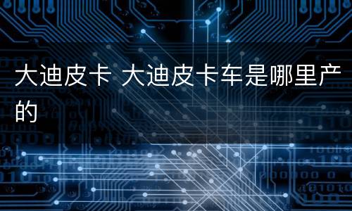 大迪皮卡 大迪皮卡车是哪里产的