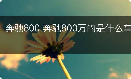 奔驰800 奔驰800万的是什么车