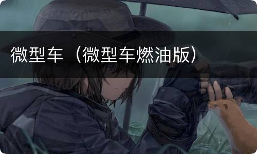 微型车（微型车燃油版）