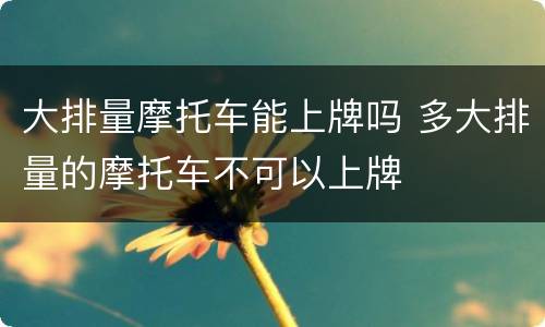 大排量摩托车能上牌吗 多大排量的摩托车不可以上牌