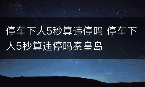 停车下人5秒算违停吗 停车下人5秒算违停吗秦皇岛