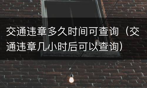交通违章多久时间可查询（交通违章几小时后可以查询）