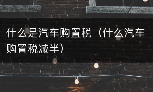 什么是汽车购置税（什么汽车购置税减半）