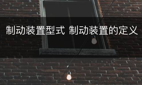 制动装置型式 制动装置的定义