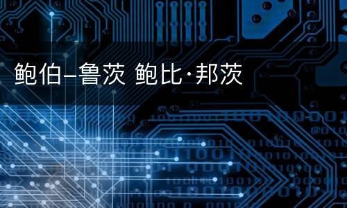 鲍伯-鲁茨 鲍比·邦茨