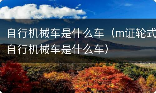 自行机械车是什么车（m证轮式自行机械车是什么车）