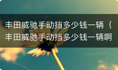 丰田威驰手动挡多少钱一辆（丰田威驰手动挡多少钱一辆啊）