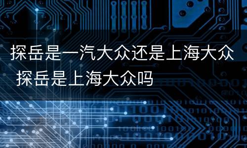 探岳是一汽大众还是上海大众 探岳是上海大众吗