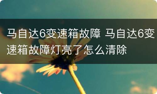 马自达6变速箱故障 马自达6变速箱故障灯亮了怎么清除