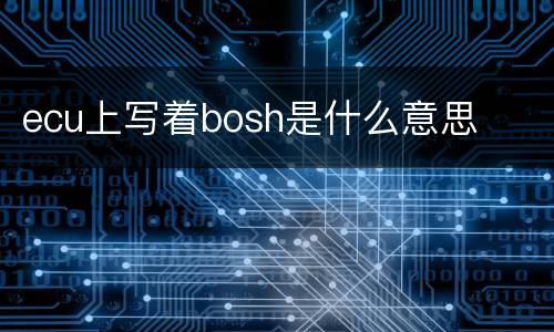 ecu上写着bosh是什么意思