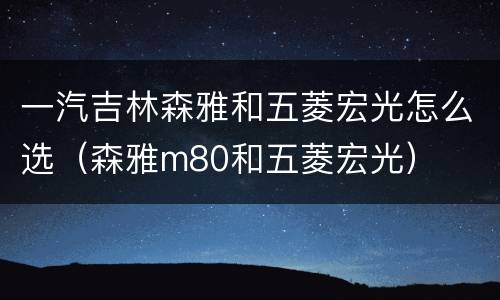 一汽吉林森雅和五菱宏光怎么选（森雅m80和五菱宏光）