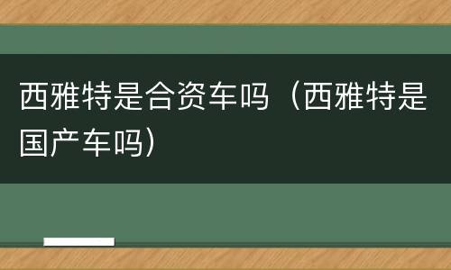 西雅特是合资车吗（西雅特是国产车吗）