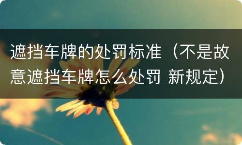 遮挡车牌的处罚标准（不是故意遮挡车牌怎么处罚 新规定）