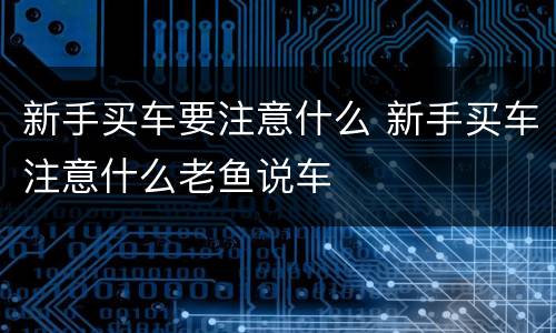 新手买车要注意什么 新手买车注意什么老鱼说车