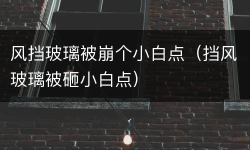 风挡玻璃被崩个小白点（挡风玻璃被砸小白点）