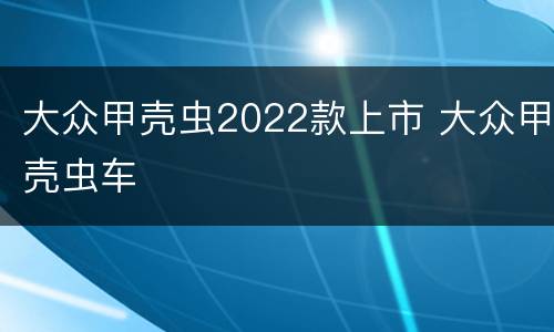 大众甲壳虫2022款上市 大众甲壳虫车