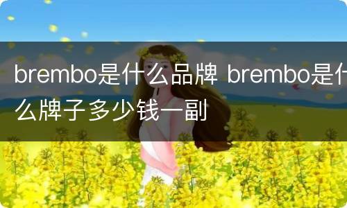 brembo是什么品牌 brembo是什么牌子多少钱一副