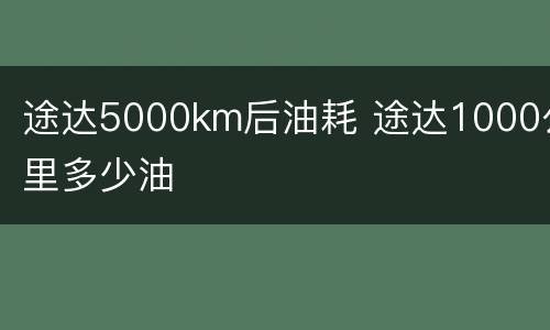 途达5000km后油耗 途达1000公里多少油