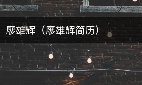 廖雄辉（廖雄辉简历）