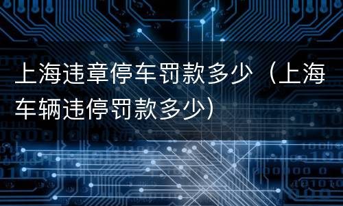 上海违章停车罚款多少（上海车辆违停罚款多少）