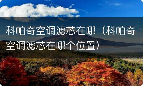 科帕奇空调滤芯在哪（科帕奇空调滤芯在哪个位置）