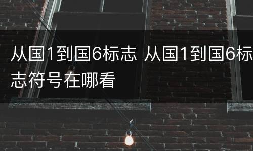 从国1到国6标志 从国1到国6标志符号在哪看