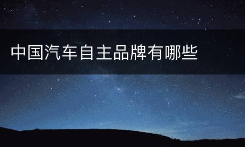 中国汽车自主品牌有哪些