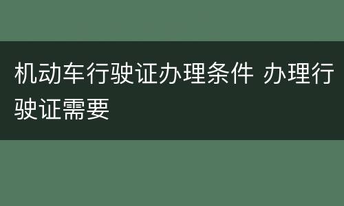 机动车行驶证办理条件 办理行驶证需要