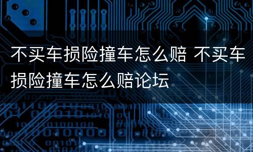 不买车损险撞车怎么赔 不买车损险撞车怎么赔论坛