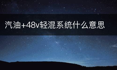汽油+48v轻混系统什么意思