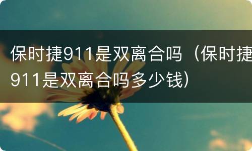 保时捷911是双离合吗（保时捷911是双离合吗多少钱）