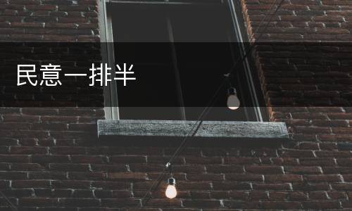 民意一排半