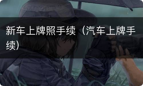 新车上牌照手续（汽车上牌手续）