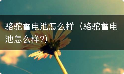 骆驼蓄电池怎么样（骆驼蓄电池怎么样?）
