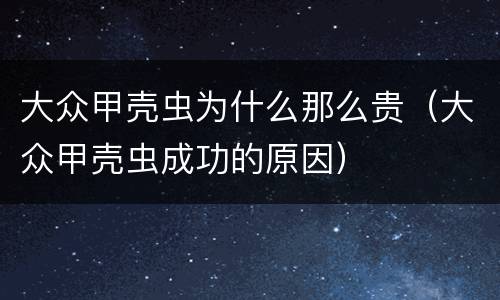 大众甲壳虫为什么那么贵（大众甲壳虫成功的原因）