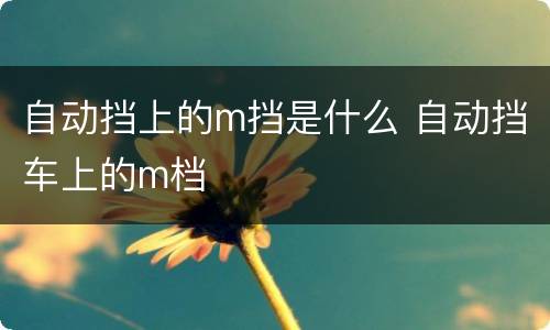 自动挡上的m挡是什么 自动挡车上的m档