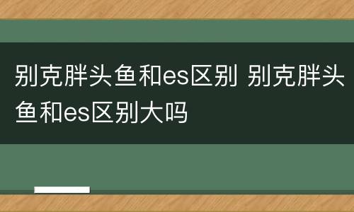 别克胖头鱼和es区别 别克胖头鱼和es区别大吗