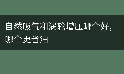 自然吸气和涡轮增压哪个好，哪个更省油
